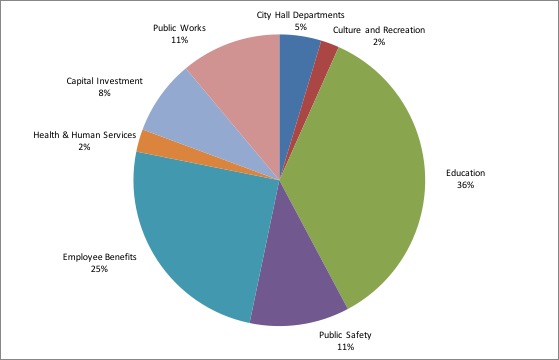Pie Chart of City Spending for FY 2017