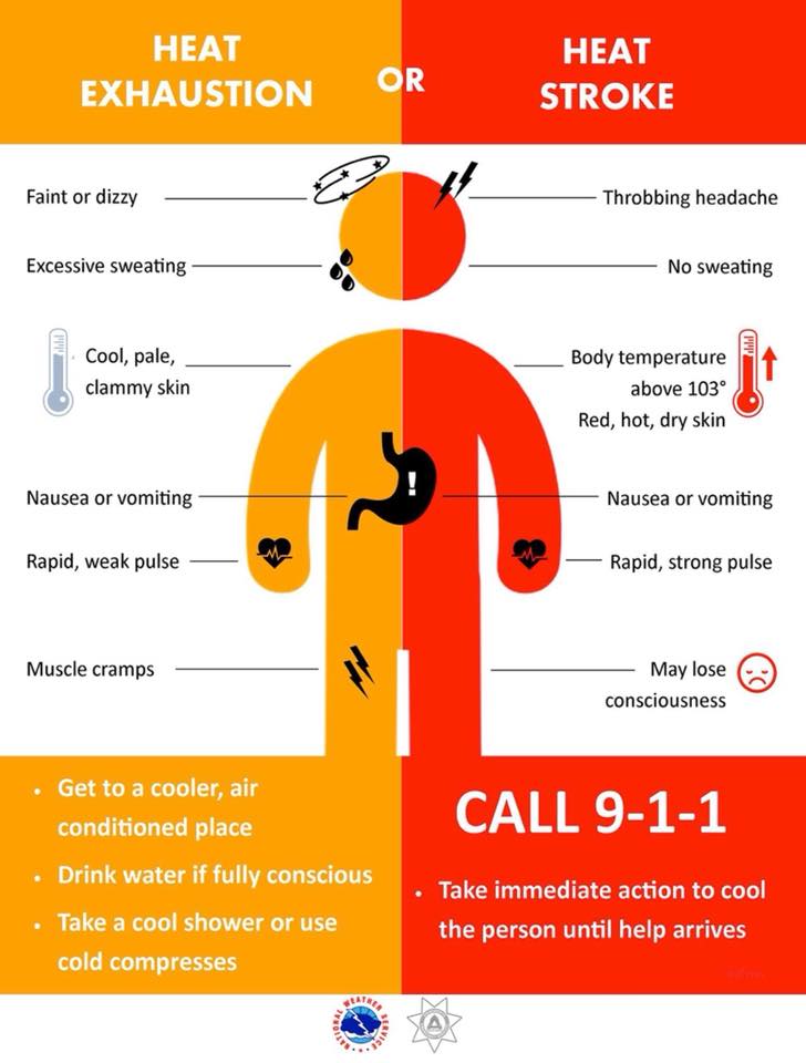 Chart explaining the difference between heat stroke and heat exhaustion