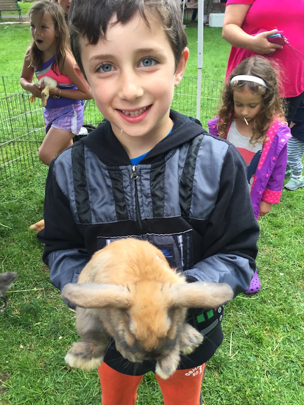 Photo of child holding a rabbit