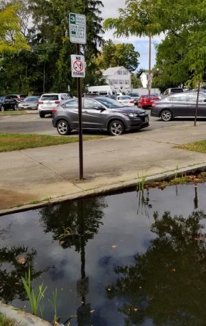 Large puddle in City Hall parking lot covering more than one parking space