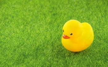rubber yellow duck