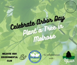 Celebrate Arbor Day, Plant a Tree in Melrose