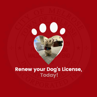Reminder: Renew Your Dog's License by March 15