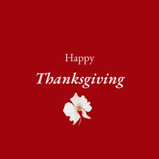 Graphic that says Happy Thanksgiving with a flower under it.