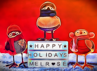 Image of three birds and a sign wishing: Happy Holidays Melrose