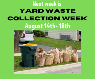 Yard waste in bags at a curb