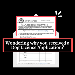 Clarity on Dog License Applications