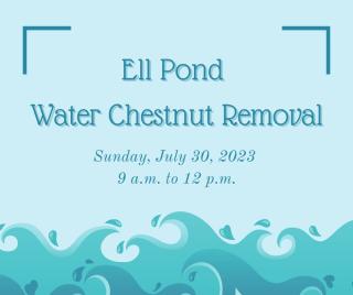 Ell Pond cleanup info graphic