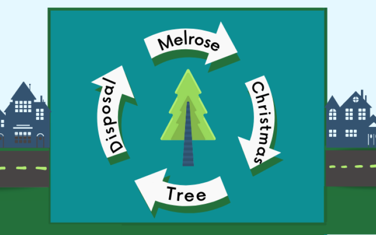 Melrose Offers Residents Two Ways to Dispose of Christmas Trees