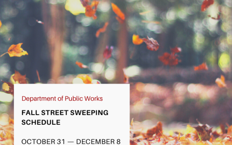 Fall Street Sweeping Schedule