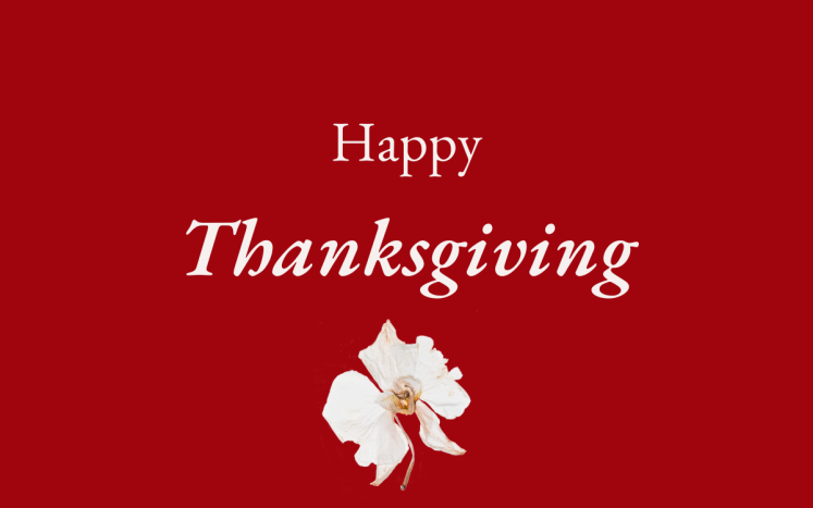Graphic that says Happy Thanksgiving with a flower under it.