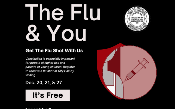 The Flu & You