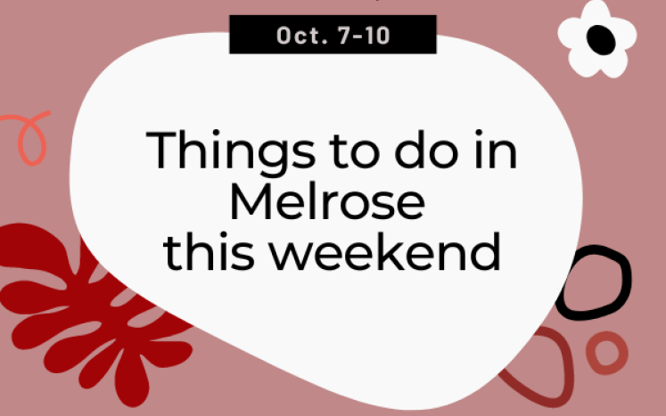 Things to do In Melrose This Weekend