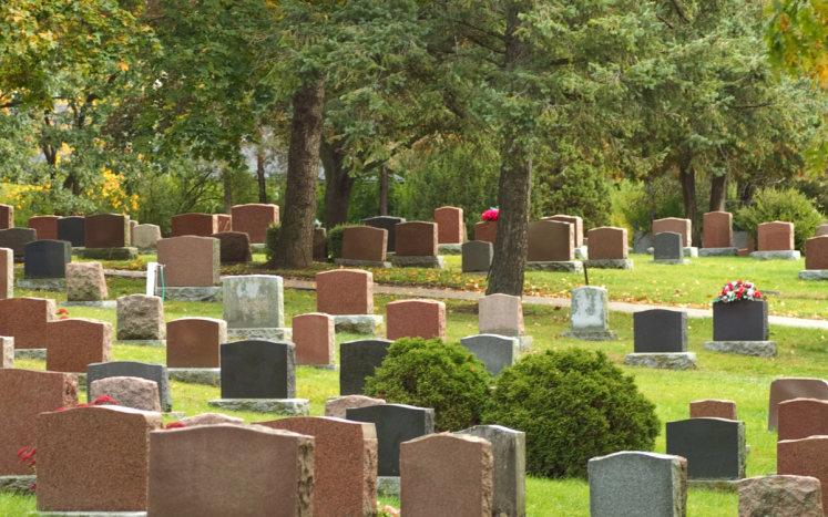 What to Know Ahead of the Cemetery Cleanup Scheduled to Begin November 1
