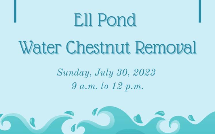 Ell Pond cleanup info graphic